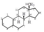 177 - Estrane