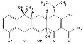 195 - Tetracycline